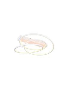 Потолочный светильник DARVIN матово-белого цвета Trio Leuchten