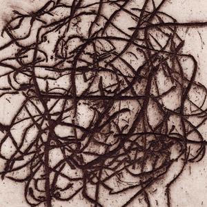 Виниловая пластинка Leimer, K. / Barreca, Marc: Arrhythmian