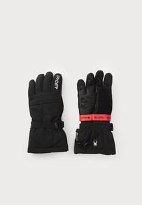 Перчатки Spyder SYNTHESIS GTX SKI GLOVES, Black