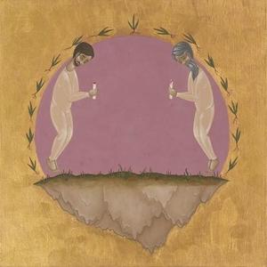 Виниловая пластинка Hospital Ships - Past Is Not A Flood