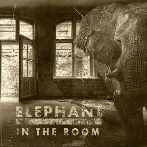 Виниловая пластинка Blackballed - Elephant In The Room