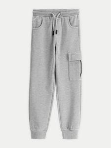 Спортивные брюки обычного кроя WC5120102VBA Coccodrillo, серый