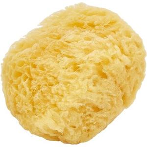 Натуральная морская губка, Beter