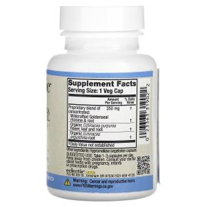 Добавка Eclectic Institute эхинацея и желтокорень, 90 растительных капсул