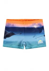 Нортон разместил плавки и шорты для плавания. Molo, Orange