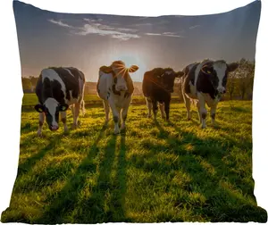 Подушка для улицы - Коровы - Солнце - Трава - Животные - Ферма - 45x45 см - Водонепроницаемая - Подушка для отдыха - Подушка с фотографией - Декоративная подушка MuchoWow