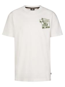 Petrol Industries Футболка 'Mezcal' в цвете Off White