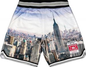 Шорты Supreme x Mitchel And Ness Basketball Short 'Skyline', разноцветный