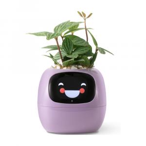 Умный горшок для домашних растений PlantsIO IVY, фиолетовый