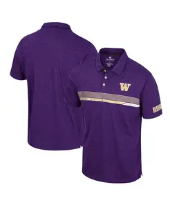 Мужская фиолетовая поло Washington Huskies No Problemo Colosseum