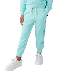 Сол Англес Прибрежные джоггеры Sol Angeles, синий