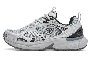 Низкие массивные кроссовки мужские серебристо-серые Dickies, Silver Gray