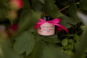 Dzikie Łąki, Мусс для тела - малиновая поляна, 60мл