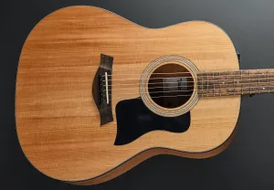 Taylor-guitars 117E