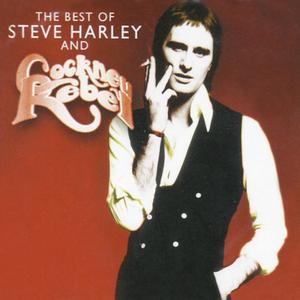 Диск CD Best Of Steve Harley & Cockney - Steve Harley & Cockney Rebel