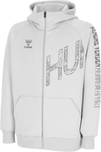 Толстовка с капюшоном Hyumel HB EURO на молнии Hummel, серый