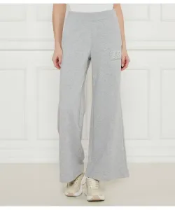 Спортивные штаны Flare fit Ea7, серый