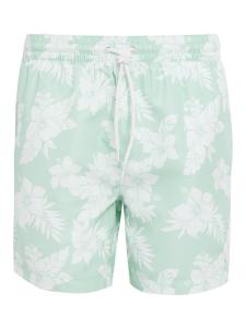Шорты для серфинга Threadbare Sunset, светло-зеленый