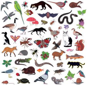 Виниловая пластинка Modern Nature: Island Of Noise