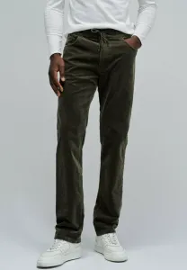 Брюки Salsa Jeans, Grün