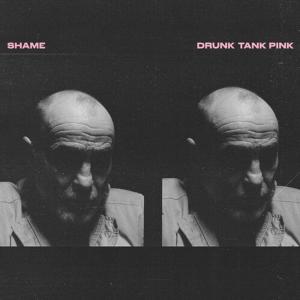 Диск CD Drunk Tank Pink - shame