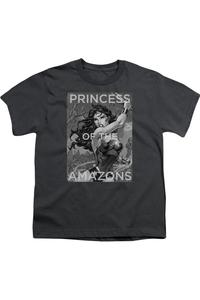 Футболка с коротким рукавом для детей "Принцесса амазонок" Justice League of America Gildan, Charcoal