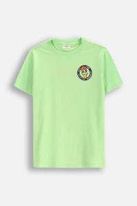Детская хлопковая футболка Coccodrillo, зеленый