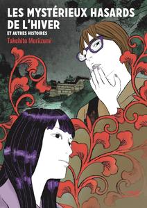 LES MYSTÉRIEUX HASARDS DE L'HIVER: Et autres histoires (LEZARD NOIR)