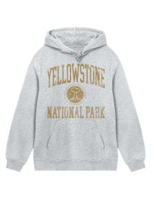 Толстовка F4NT4STIC, серый