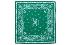 Вязаный шарф унисекс зеленый THE NORTH FACE, зеленый