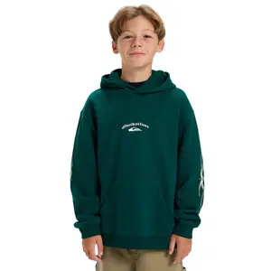 Детская толстовка Stretch TribalYouth Quiksilver, зеленый