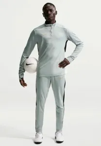 Спортивные штаны академии Nike Performance, Light Smoke Grey White Black Metallic Gold