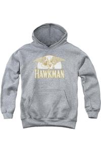 Толстовка с капюшоном DC Comics Fly By Youth Gildan, Athletic Heather