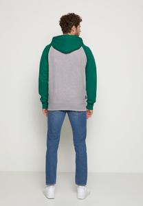 Толстовка на молнии SPITZBUB HOODED ZIP OLIVER Spitzbub, серый