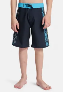 Плавательные шорты surfsilk next gen 17 дюймов Quiksilver, Black