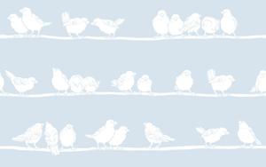 Пленка конфиденциальность 45/150 см, белый/прозрачный