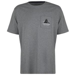 Футболка Chouinard crest pocket responsibili-tee - t-shirt Patagonia, Gravel Heather