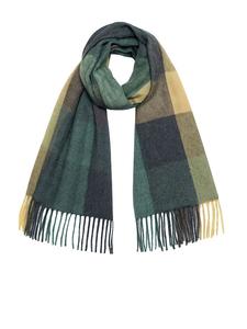 Мягкий шарф с бахромой - модный зимний аксессуар для женщин в зеленом цвете. Faera