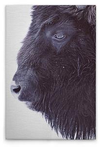 Картина на холсте A.S. Création Black Buffalo, черно-белый