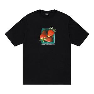 Футболка Stussy Berries Tee 'Black', черный