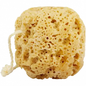 Alma K. губка для умывания натуральная с кремом для тела, 1 шт.