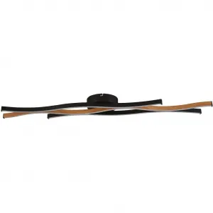 Потолочный светильник LED Bloom, 1 плафон LED-модуль 1 шт. Изменение цвета с эффектом дерева Searchlight, черный