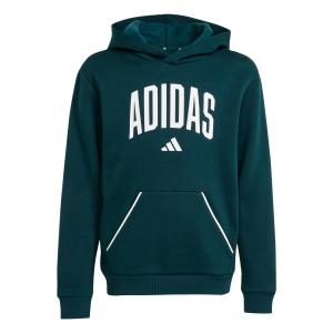 Свитшот ESSENTIALS детский Adidas, зеленый