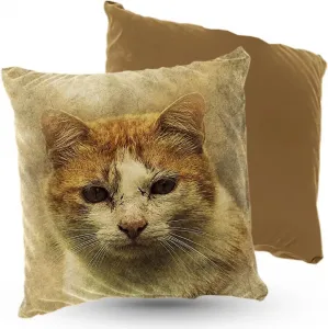 Подушка велюровая PREMIUM с рисунком рыжего кота, 40x40 см, декоративная с наполнителем, для гостиной, спальни или в подарок, 5 шт. 5made