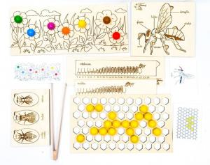 Пчелы, набор, строение пчел, обитатели улья, развитие пчел, луг, моторика Inna marka