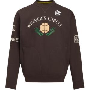 Under Armour Толстовка Curry FW25 мужская кофейный brown