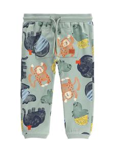 Спортивные брюки обычного кроя WC5120102SBN Coccodrillo, зеленый