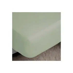 Простыня на резинке , плотность 200 нитей, египетский хлопок BM113 (двуспальная кровать) (Тимьян) Belledorm
