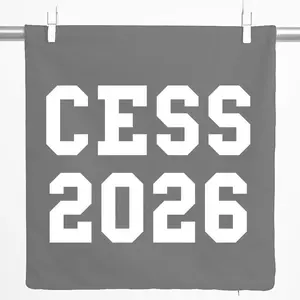 Декоративная подушка Huuraa, чехол для выпускного CESS 2026 (Бельгия, Франция), подарок, 40x40 см, стальной серый, хлопок, украшение CESS 2026 Hellweg Druckerei