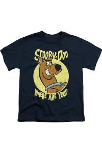 Футболка с коротким рукавом Scooby Doo Where Are You для детей Gildan, темно-синий